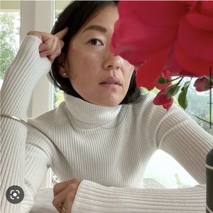 Everlane ribbed turtleneck sweater